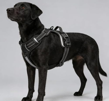 Black Adjustable Reflective No-Pull Dog Harness with 2 Leash Clips，Soft Padded Vest for Medium Dog, Easy to Put on and Take Off, Black M - color: Black, size: Medium