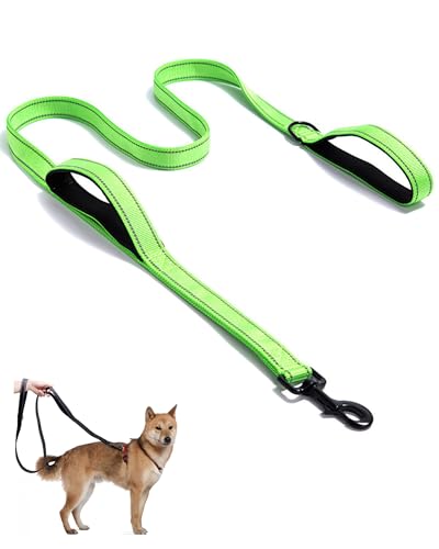Aeclleca Soft Handle Reflective Black Dog Leash with 2 Padded Handles, 5FT Heavy Duty Pet Lead for Medium & Large Dogs, Comfortable Anti-Slip Grip & Night Safety Design (Green) - color: Green