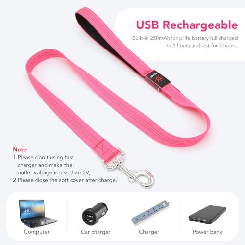 Colaseeme Light Up Dog Leash, LED Pet Leashes USB Rechargeable, Glow Safety Dogs Lights at Night (4FT,Pink) - color: Pink, size: 4FT