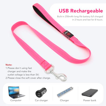 Colaseeme Light Up Dog Leash, LED Pet Leashes USB Rechargeable, Glow Safety Dogs Lights at Night (4FT,Pink) - color: Pink, size: 4FT
