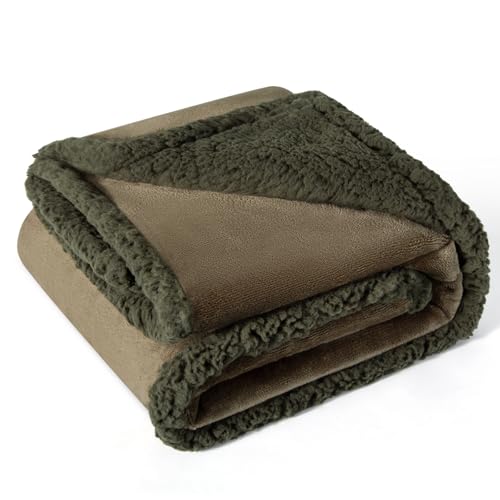 aodisman Waterproof Dog Blanket for Small to Medium Dogs, Leakproof Reversible Washable Pet Blanket, 40 x 60 Furniture Protector for Sofa & Couch, Soft Fleece Throw for Indoor Cats & Kittens,Green - color: Green, size: Large (40x60)