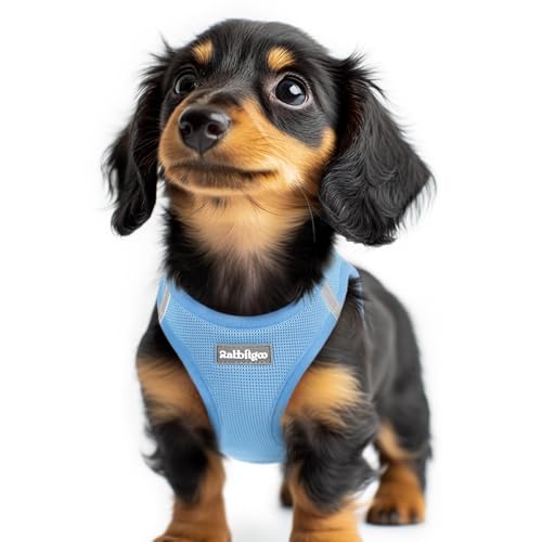 rabbitgoo Small Dog Harness, Step-in Soft Mesh Puppy Vest with Safety Buckle, Breathable Reflective Pet Harness for Extra Small Dogs, Blue XXS - color: Blue, size: Xxs(chest:12.4"-14.2")