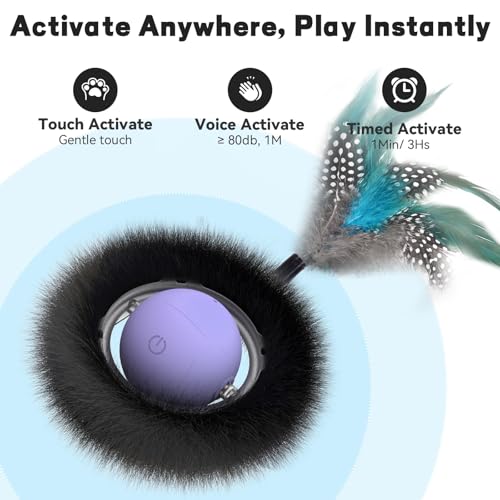 Interactive Cat Toy with Motion Activated Ball & 7 Holes Maze Mat, Hide and Seek Exercise Game for Indoor Cats, Automatic Moving Cat Ball Toy in Pouch, Rechargeable Kitten Toys, Mouse Catching Game - color: No Cat No Life