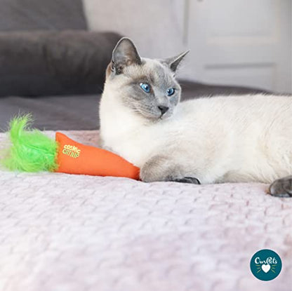 OurPets 100-Percent North American Catnip Filled Carrot Cat Toy 24 Karat - size: 1