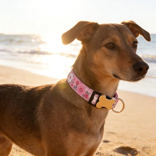 Personalized Custom Customized Silent No Jingle Dog Collar with Engraved ID Dog Name Phone Number/Dog Collars for Puppy X-Small Small Medium Large X-Large Boy Girl Dogs-New Pink Flower-S - color: 1 New Pink Flower, size: Small (0.6" * 10"-15.3")