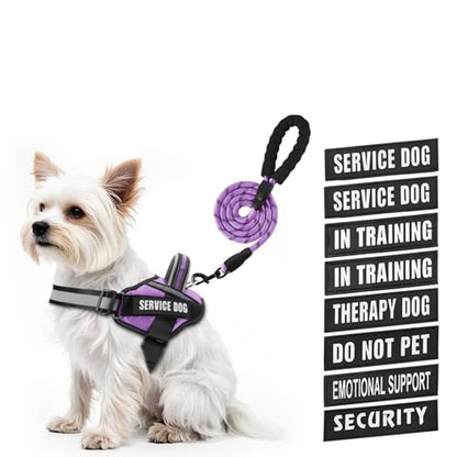 Service Dog Vest Harness and Leash Set, Animire in Training Dog Harness with 10 Dog Patches, Reflective Dog Leash with Soft Padded Handle for Small, Medium, Large, and Extra-Large Dogs - color: Purple, size: XXS