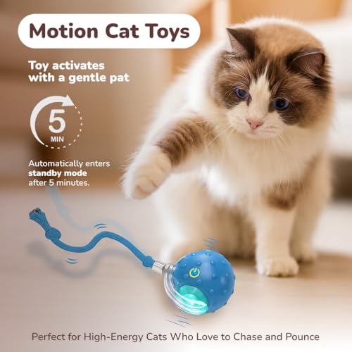 Interactive Cat Toy Ball for Indoor Cats – Fast Rolling on Carpet, Motion Activated with Chirping Sounds, Smart Play Toy (Blue) - color: Blue
