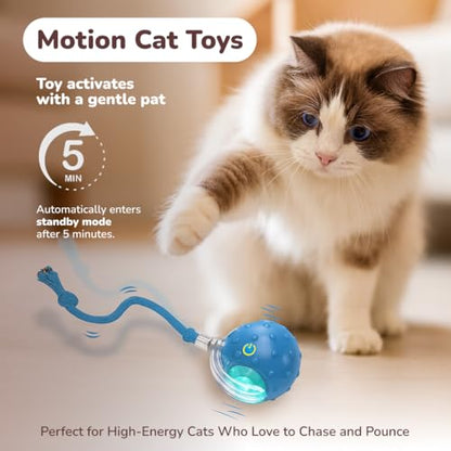Interactive Cat Toy Ball for Indoor Cats – Fast Rolling on Carpet, Motion Activated with Chirping Sounds, Smart Play Toy (Blue) - color: Blue