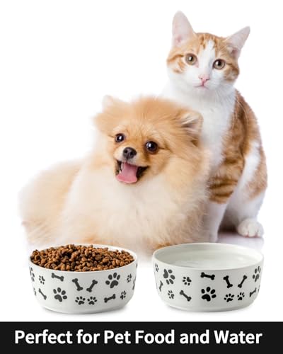 UBEE Ceramic Dog Bowl Set of 2, 5.5 inch Dog Food Bowl Dish with Bone Paw Pattern, Pet Food Water Dish Feeding Plates for Small Dogs, Puppy and Cat, White - color: White-dog paw, size: 5.5 inch x 2