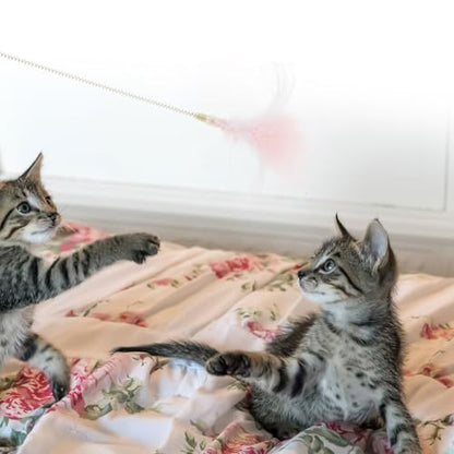 Toddmomy Interactive Cat Teaser Feather Wand with Bell, Sturdy Spring Rod for Indoor Play, Pink Kitten for Cat Exercise and Mental Stimulation