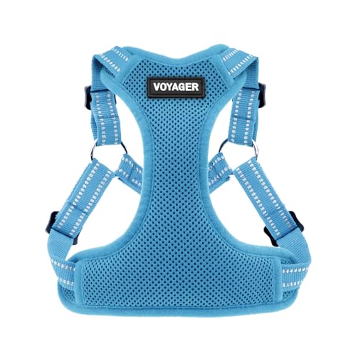 Best Pet Supplies Voyager Adjustable Step-in Flex Breathable Mesh Dog Harness for Small Medium Large Dogs (Baby Blue), XS - color: Harness (Baby Blue), size: XS