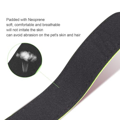 Dog Collars Adjustable for Puppy and Small Dogs,Heavy Duty Waterproof Dog Collar with Quick Release Buckle,Girl Boy Female Male Reflective Nylon Dog Collar with Soft Neoprene Padded,XS,Green - color: Green, size: X-Small