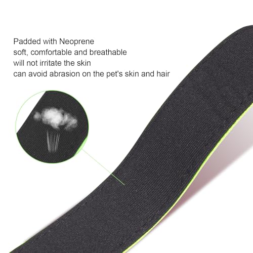 Dog Collars Adjustable for Puppy and Small Dogs,Heavy Duty Waterproof Dog Collar with Quick Release Buckle,Girl Boy Female Male Reflective Nylon Dog Collar with Soft Neoprene Padded,XS,Green - color: Green, size: X-Small