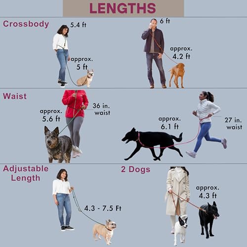 Hands Free Dog Leash, Waist Leash for Dog Walking, Running, Crossbody, Multifunctional, 2 Dogs, Dual Handle, Traditional Lead, Adjustable Lead 4.3ft - 7.5ft, 3/8" (10mm) Diameter. - color: Hunter Green