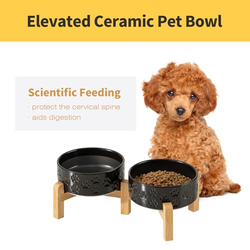 Elevated Ceramic Dog Bowl Set, 5.1" Dog Bowls with Dual Fixed Heights Stand, 1.6 Cup Food & Water Bowls for Toy Breed, Adult Cat, Small-Breed Puppy (Double Bowls + Stand - Black, 5.1 inch) - color: Double Bowls + Stand - Black, size: Xs - 5.1 Inch