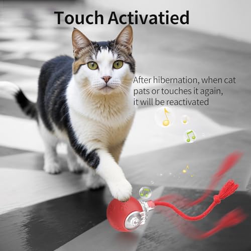 Interactive Cat Toys, Automatic Moving Cat Toys for Bored Indoor Adult Cats, Fast Rolling, Chirping & Motion-Activated Kitty Toys, Fun Gift for Cats with Speedy Tail 2.0, USB Rechargeable (Red)