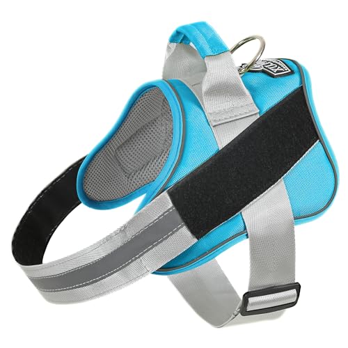 Dog Harness, No-Pull Reflective Dog Vest, Breathable Adjustable Pet Harness with Handle for Outdoor Walking - No More Pulling, Tugging or Choking (OceanicBlue, X-Small (Pack of 1)) - color: OceanicBlue, size: X-Small (Pack of 1)