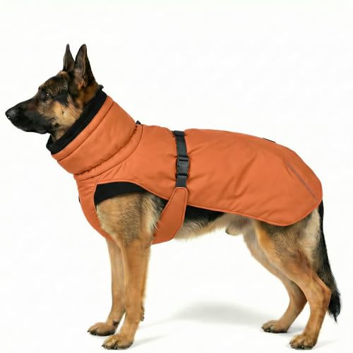Dog Winter Coat, Warm Puffer Jacket with Fur-Safe Buckle & Leash Hole for Cold Weather, Water-Repellent Snow Vest, Breathable Thermal Apparel for Hiking & Active Dogs (Aurantium, XX-Large) - color: Aurantium, size: XX-Large