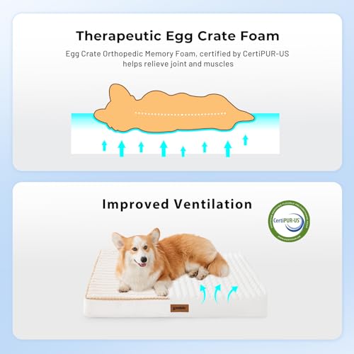 ZOMISIA XXL Dog Bed for Crate - Extra Large Orthopedic Pet Beds with Removable Machine Washable Cover, Egg Crate Foam Puppy Pad, Suitable for Pet Up to 100 lbs, 47"x29" - size: 47.0"L x 29.0"W x 4.0"Th