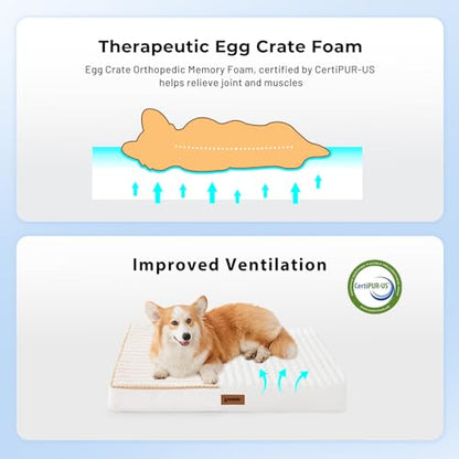 ZOMISIA XXL Dog Bed for Crate - Extra Large Orthopedic Pet Beds with Removable Machine Washable Cover, Egg Crate Foam Puppy Pad, Suitable for Pet Up to 100 lbs, 47"x29" - size: 47.0"L x 29.0"W x 4.0"Th