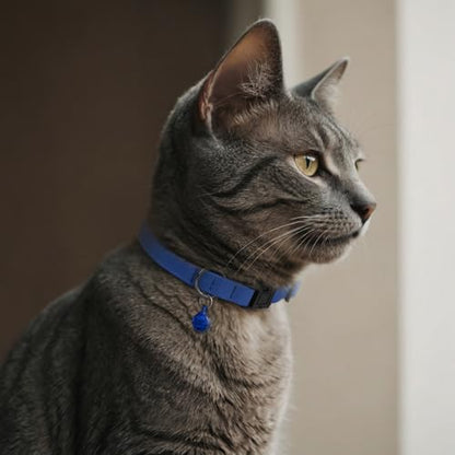 Breakaway Cat Collar Leather with Removable Bell - 13 Colors Available - Soft Adjustable Girl Boy Safety Lightweight Pet Kitten Collars Pink Brown Blue Green Red Orange Black (Red) - color: Red