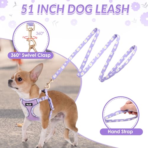 SlowTon Small Dog Harness - No Pull Dog Harness and Leash Set, Soft Mesh Lightweight Puppy Vest Harnesses, Adjustable Pet Harnesses for XXS XS Small Medium Easy Walk Hiking (Purple, S) - color: 2.Purple Daisy, size: Small