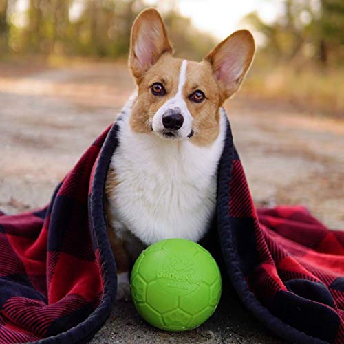 Jolly Pets Medium Soccer Ball Floating-Bouncing Dog Toy, 6 inch Diameter, Apple Green (SB06 GR) - color: Apple Green, size: 6 Inch Diameter