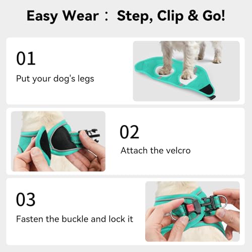 Joytale Small Dog Harness, Breathable Mesh Step-in Vest, Reflective Soft Padded Harnesses for Cats and Puppies Dogs, Teal, XXXS - color: Teal, size: XXXS--Chest: 10.5-12''
