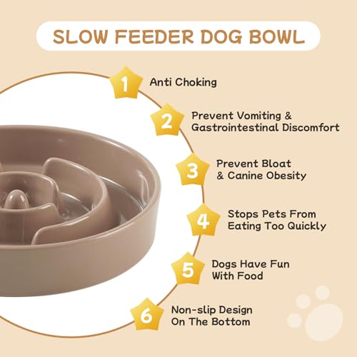 Havniva 6.1” Raised Slow Feeder Dog Bowls Set, 0.9 Cups Ceramic Slow Feeder Dog Bowl and 6.1” Dog Water Bowl with Elevated Wooden Stand Puzzle Dog Food Bowl for Small Dogs Anti-Gulping & Anti-Choking - color: 2 x Brown Coffee+Stand-A, size: 6.1inch-New