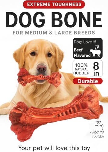 Dog Chew Toy - Natural Rubber Dog Toy, Beef Flavor – Dog Toys for Medium & Large Dogs - Bone-Shaped Chew for Dental Health - Indoor and Outdoor Play