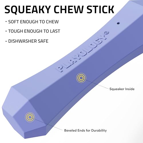 Playology Dog Toys | Squeaky Chew Stick for Dogs | Blueberry Scented Medium Fetch Toy | Squeaky Dog Chew Toy - size: Medium, style: Blueberry