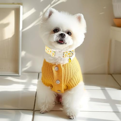 Summer Dog Collar Yellow Lemon Dog Collars for Puppy Small Dogs - Lightweight Adjustable Cute Male Female Dogs Everyday Collar with Safety Buckle XS - color: Yellow Lemon, size: XS
