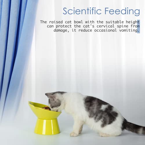 Detachable Elevated Cat Bowls, 15° Tilted Raised Cat Food Bowl Anti-Vomiting,Whisker Friendly, Adjustable Pet Dishes for Protecting Spine, cat Bowls for Indoor Cats Adult Kitten - color: Green