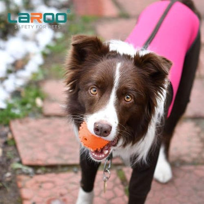 LaRoo Squeaky Dog Ball Toy, Durable Natural Rubber Squeaker Ball Floating Throwing Training, Teeth Cleaning Chew Toy for Pet Small Medium Large Dogs (6.5CM Orange) - color: Orange-6cm
