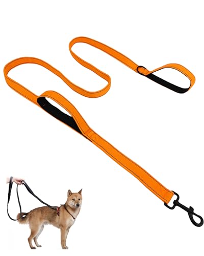 Aeclleca Soft Handle Reflective Black Dog Leash with 2 Padded Handles, 5FT Heavy Duty Pet Lead for Medium & Large Dogs, Comfortable Anti-Slip Grip & Night Safety Design (Orange) - color: Orange