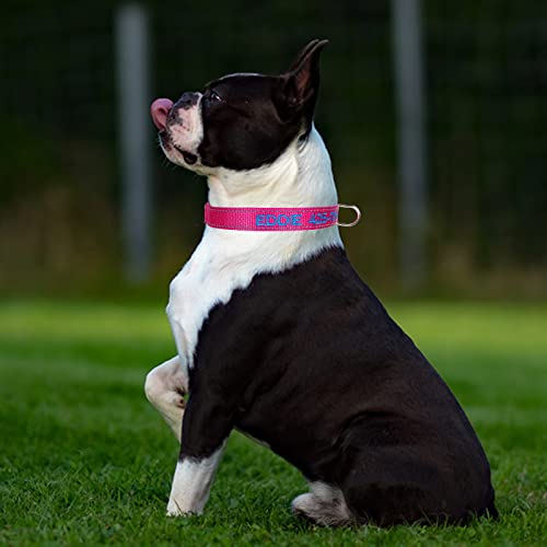 Personalized Dog Collar,Custom Embroidered Dog Collar with Name for XS Small Medium Large XL Large Dogs,Nylon Dog Collar in Purple,Blue,Red,Rose,Cyan for Bog and Girl Dogs - color: B