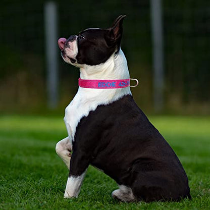 Personalized Dog Collar,Custom Embroidered Dog Collar with Name for XS Small Medium Large XL Large Dogs,Nylon Dog Collar in Purple,Blue,Red,Rose,Cyan for Bog and Girl Dogs - color: B