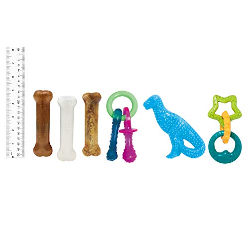 Nylabone New Puppy Starter Kit, 5 Chew Toys and 1 Natural Treat for Puppies, Multi Color, Bacon & Chicken Flavor, Small Dogs - Up to 25 lbs., 6 Pack - color: Bundle