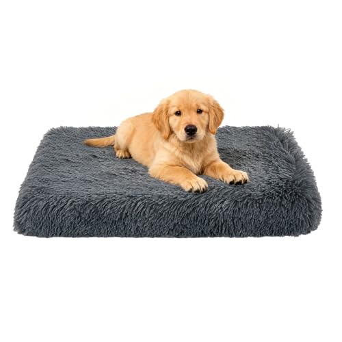 Fluffy Orthopedic Dog Beds for Puppy/Cats with Washable Removable Cover Dog Crate Bed Egg Crate Foam Support Plush Pet Pad Mat with Anti-Slip Bottom (24 * 16,Dark Grey) - color: Dark Grey, size: 24"L*16"W