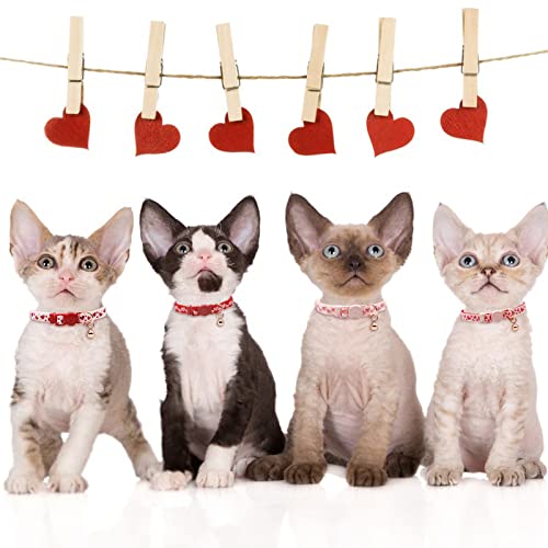 4 Pack Valentines Kitten Collar with Bell Valentines Day Breakaway Kitten Collars with Cute Heart Pattern Adjustable Size Suitable for Kittens - color: Valentine, size: Kitten(Neck:6"-8")