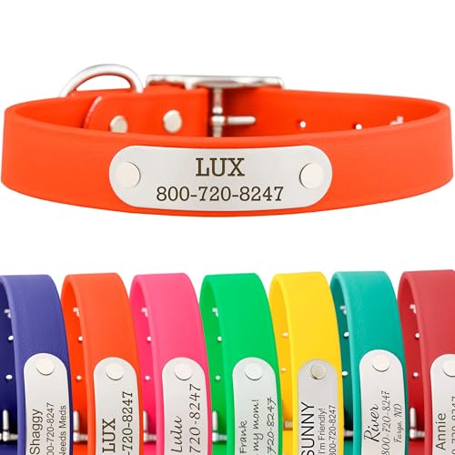dogIDs Personalized Dog Collar – Custom Waterproof Soft-Grip Biothane with Laser-Engraved Nameplate, Durable & Odor-Resistant, USA Made | Blaze Orange, 1 in x 16 in (Fits Necks Size 14-18 in) - color: Blaze Orange, size: 1 in x 16 in (Fits Necks Size 14-1