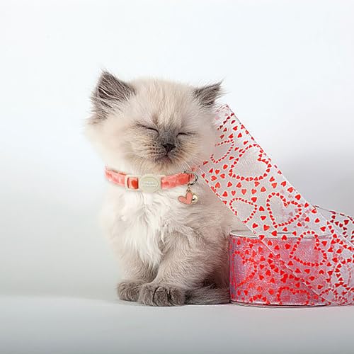 Unique style paws 2 Pack Valentine's Kitten Collar Breakaway with Bell&Pendant, Adjustable Safety Red Lip Rainbow Cat Cotton Collar for Girl Boy Cat and Small Pet - color: painting blue pink love