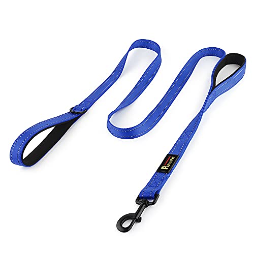 Plutus Pet Double Handle Dog Leash 4ft, Heavy Duty, Reflective Dual Handle Dog Leash for Safety Training, for Medium Large Dogs,2 Handle Leads(Navy Blue) - color: Navy Blue, size: 4 FT