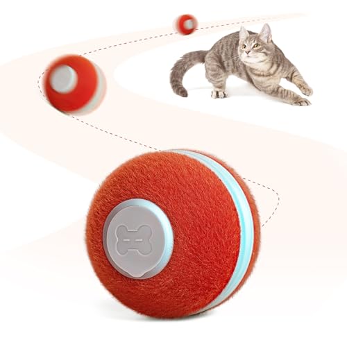 Cheerble Interactive Cat Toys for Indoor Cats, Automatic Cat Ball Toy for Bored Indoor Cats, Electric Kitten Toys with Light, Moving Stimulating Cat Toys,Red - color: Red