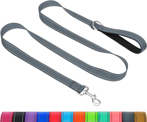 Taglory Dog Leash for Medium Large Dogs, Double-Sided Reflective for Night Walking, Neoprene Padded Handle, 1 inch by 4 ft, Heavy Duty for Medium Large Breeds 20-150 lbs, Grey - color: Grey, size: 1 in x 4 ft (Pack of 1)