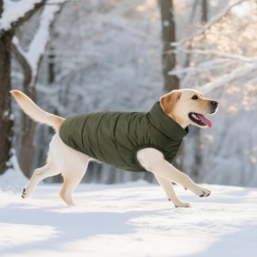 ASENKU Windproof Dog Winter Coat Waterproof Fleece Jacket Cold Weather Pet Apparel for Small Medium Large Dogs (ArmyGreen, XS) - color: Armygreen, size: X-Small
