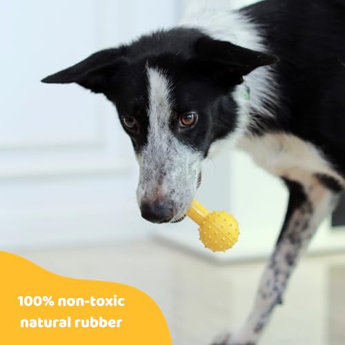 Pup's Pick Dog Chew Toy with Bell - Squeaky Chew Toys for Aggressive Chewers, Natural Rubber Puppy Chew Toys for Teething, Medium and Small Breeds Indestructible Dog Toy, Teething Toys for Puppies