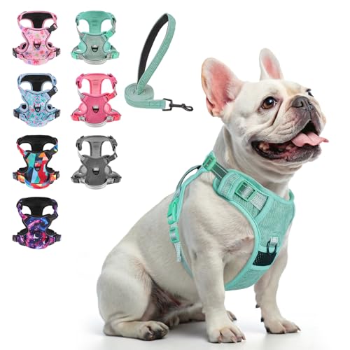 BEAUTYZOO No Pull Dog Harness, Adjustable Dog Harness and Leash Set -Easy Wearing with 3 Buckles/Control Handle,No Choke Soft Padded Reflective Pet Vest for Training Walking Hiking,Solid Aqua Blue S - color: Solid Aqua Blue, size: S: chest 14"-24"