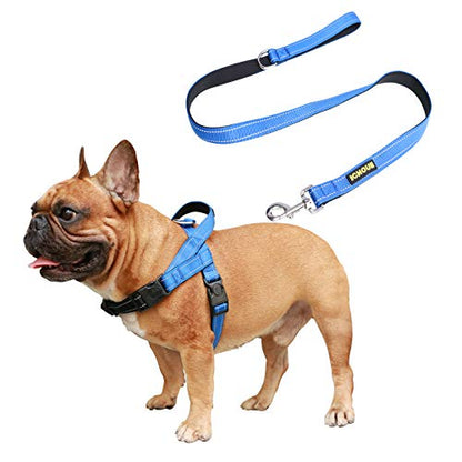 iChoue French Bulldog Harness and Leash Set Adjustable Padded Locked Buckle with Handle for Frenchie Pug English Boston Terrier Dogs, Blue, Small - color: A Harness with Leash Blue, size: Small ( 5 - 25 lbs )