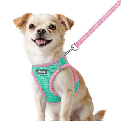 rabbitgoo Dog Harness Small Sized and Leash Set, Step-in Breathable Pet Harness, Soft Walking Reflective Puppy Vest for Small Dogs, Teal & Pink, XXS - color: Teal & Pink, size: XXS (Chest: 12.4 - 14.2")